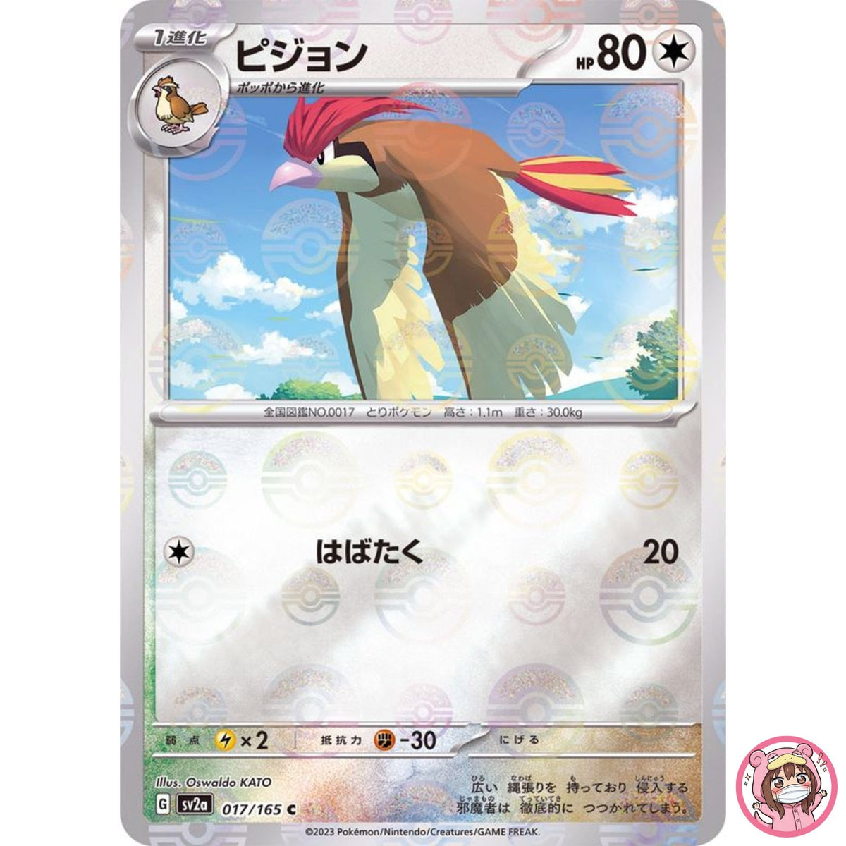 Pidgeotto (Reverse Holo) C 017/165 SV2a Pokémon Card 151 - Pokemon Card Japanese