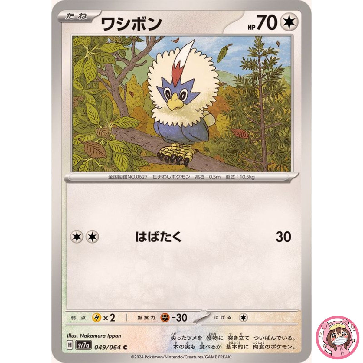 Rufflet C 049/064 SV7a Paradise Dragona - Pokemon Card Japanese Scarlet & Violet