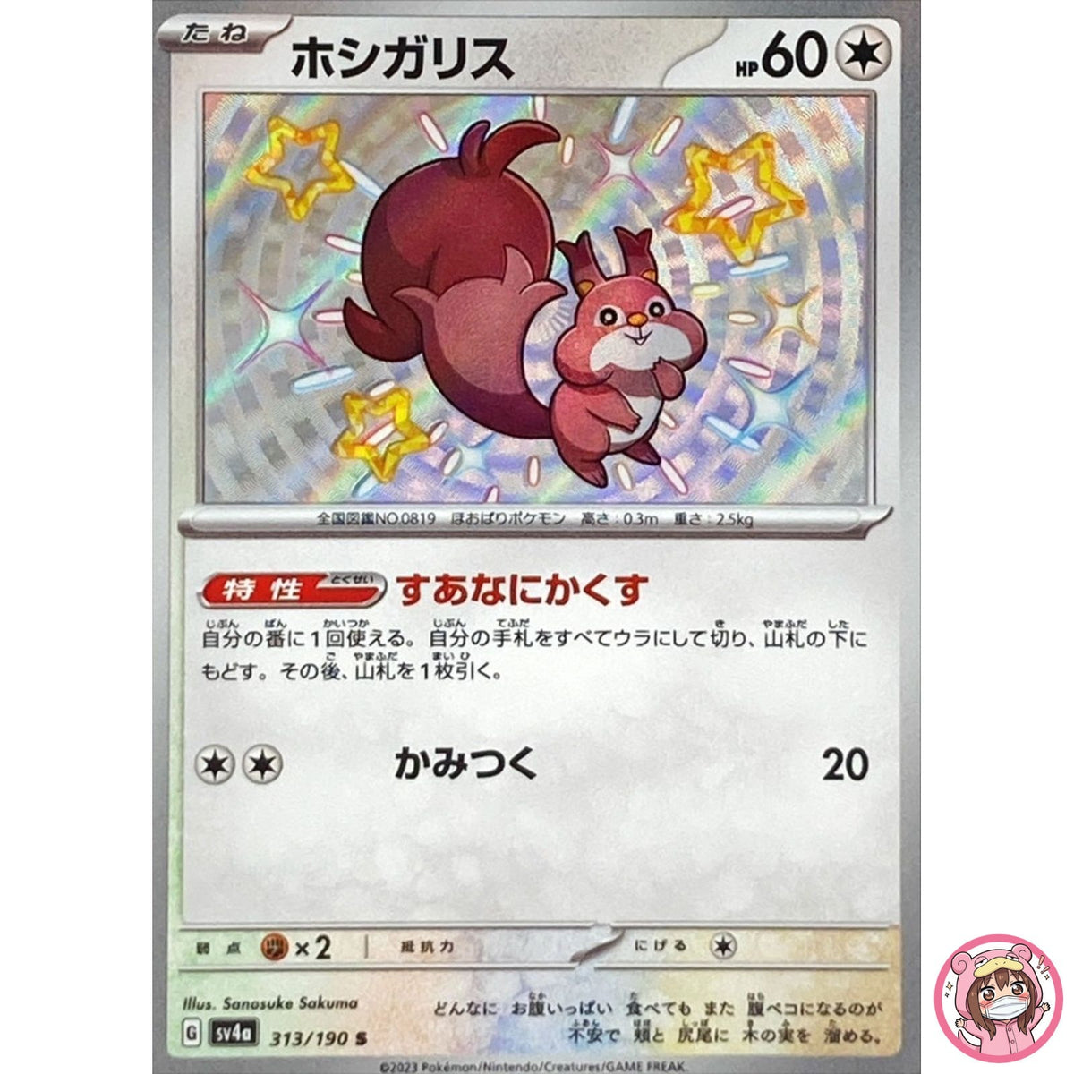 Shiny Skwovet S 313/190 SV4a Shiny Treasure ex - Pokemon Card Japanese