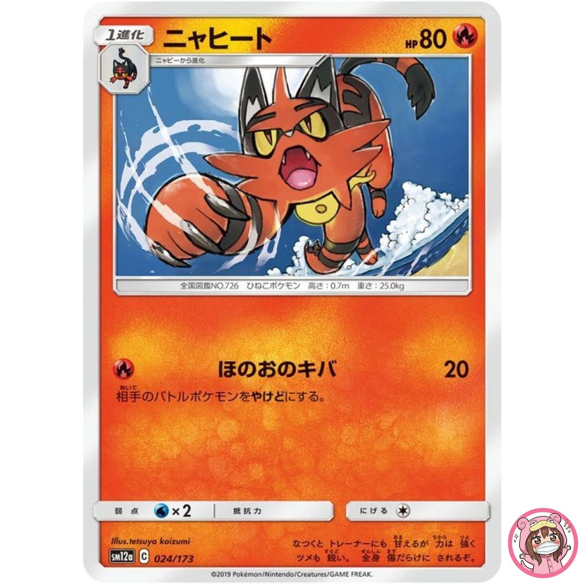 Torracat 024/173 SM12a GX Tag Team - Pokemon Card Japanese Sun & Moon