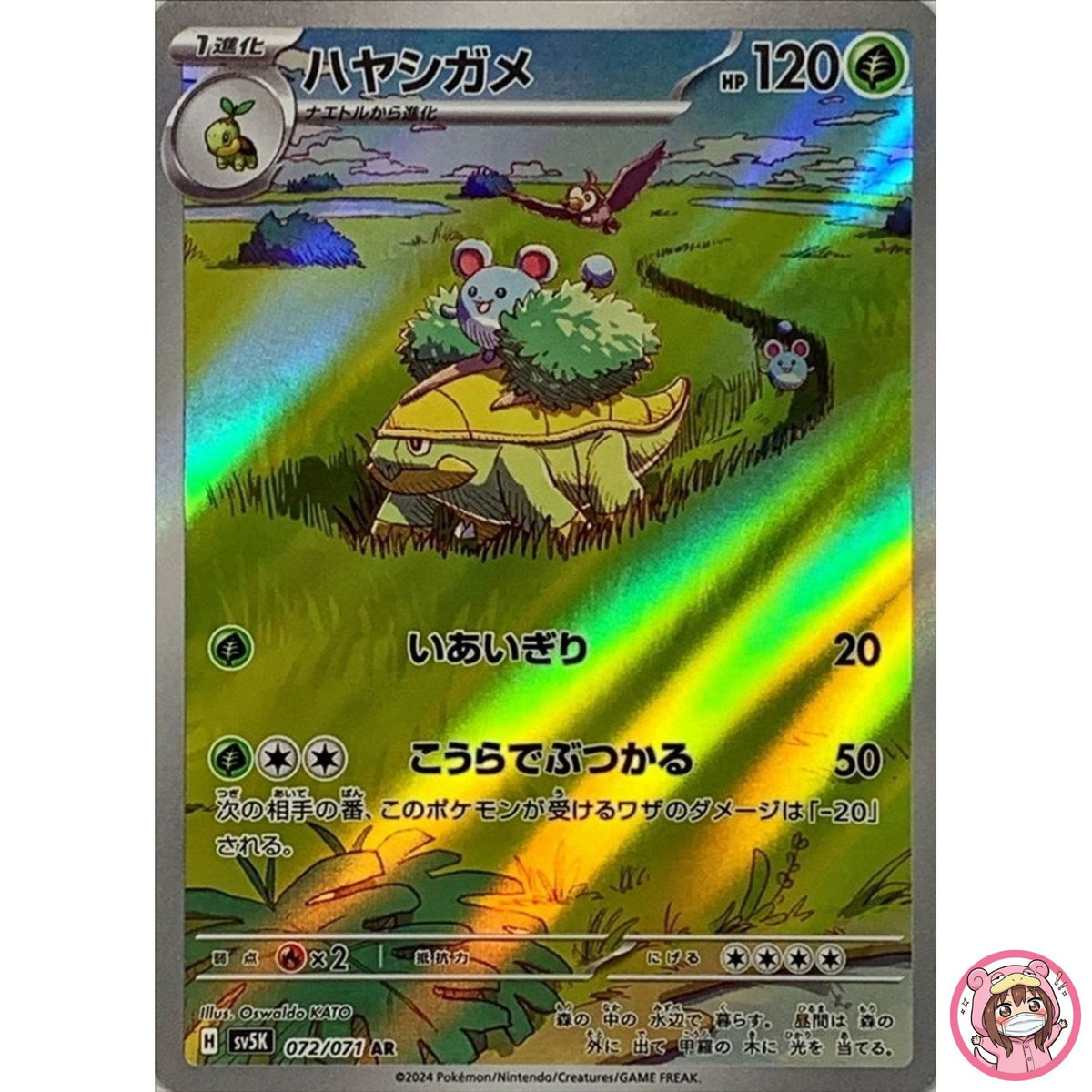 Grotle AR 072/071 SV5K Wild Force - Pokemon Card Japanese Scarlet & Violet