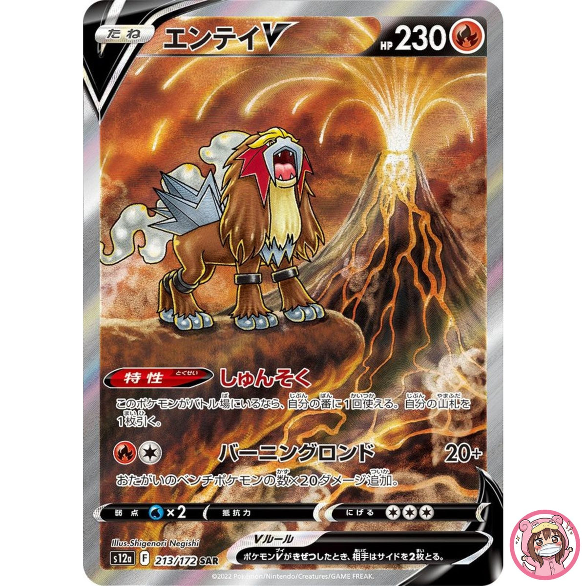 Entei V SAR 213/172 S12a VSTAR Universe - Pokemon Card Japanese