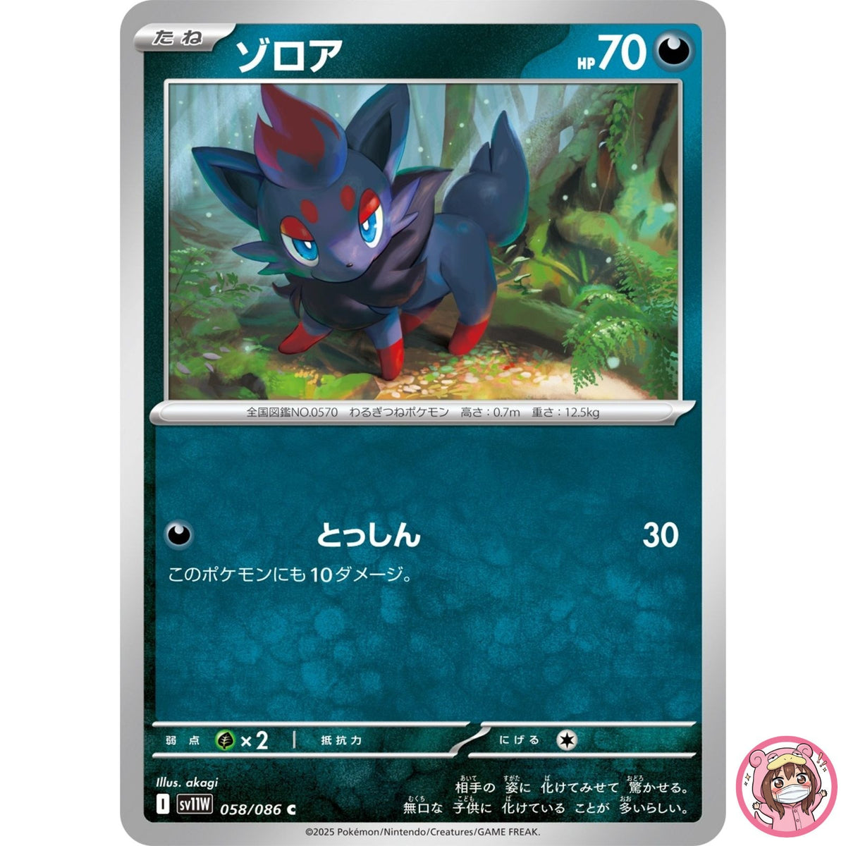 Zorua C 058/086 SV11W White Flare - Pokemon Card Japanese Scarlet & Violet